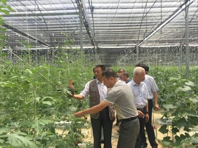 袁文先將軍深入三明調(diào)研，為扶貧改革與種植技術(shù)發(fā)展注入新動能